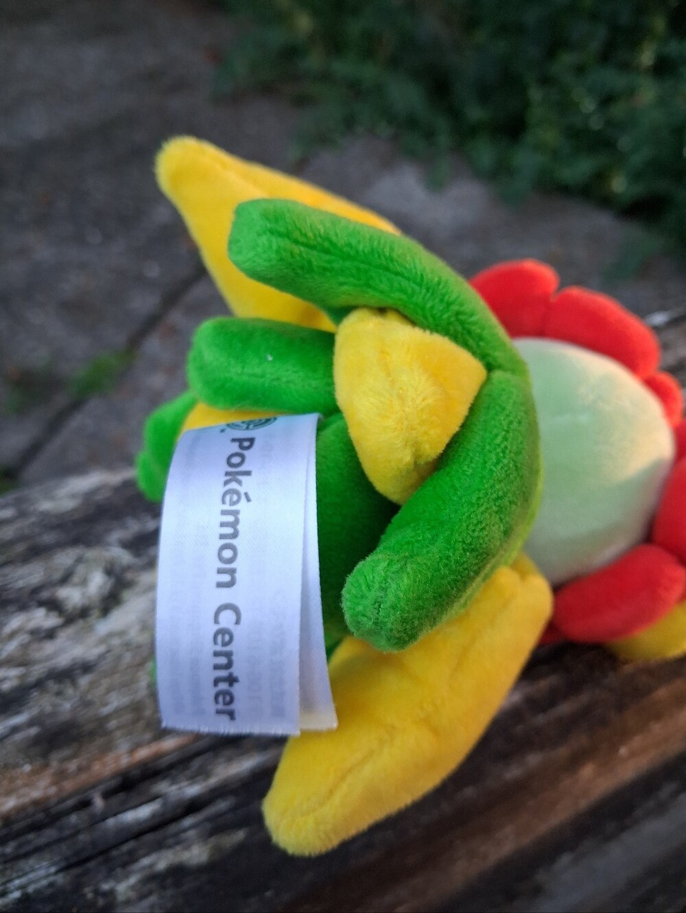 pokemon - Picture 3 of 3